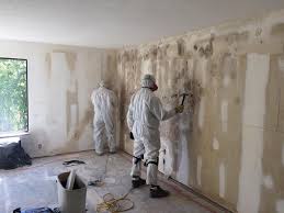 Potomac Park, CA Mold Inspection Company